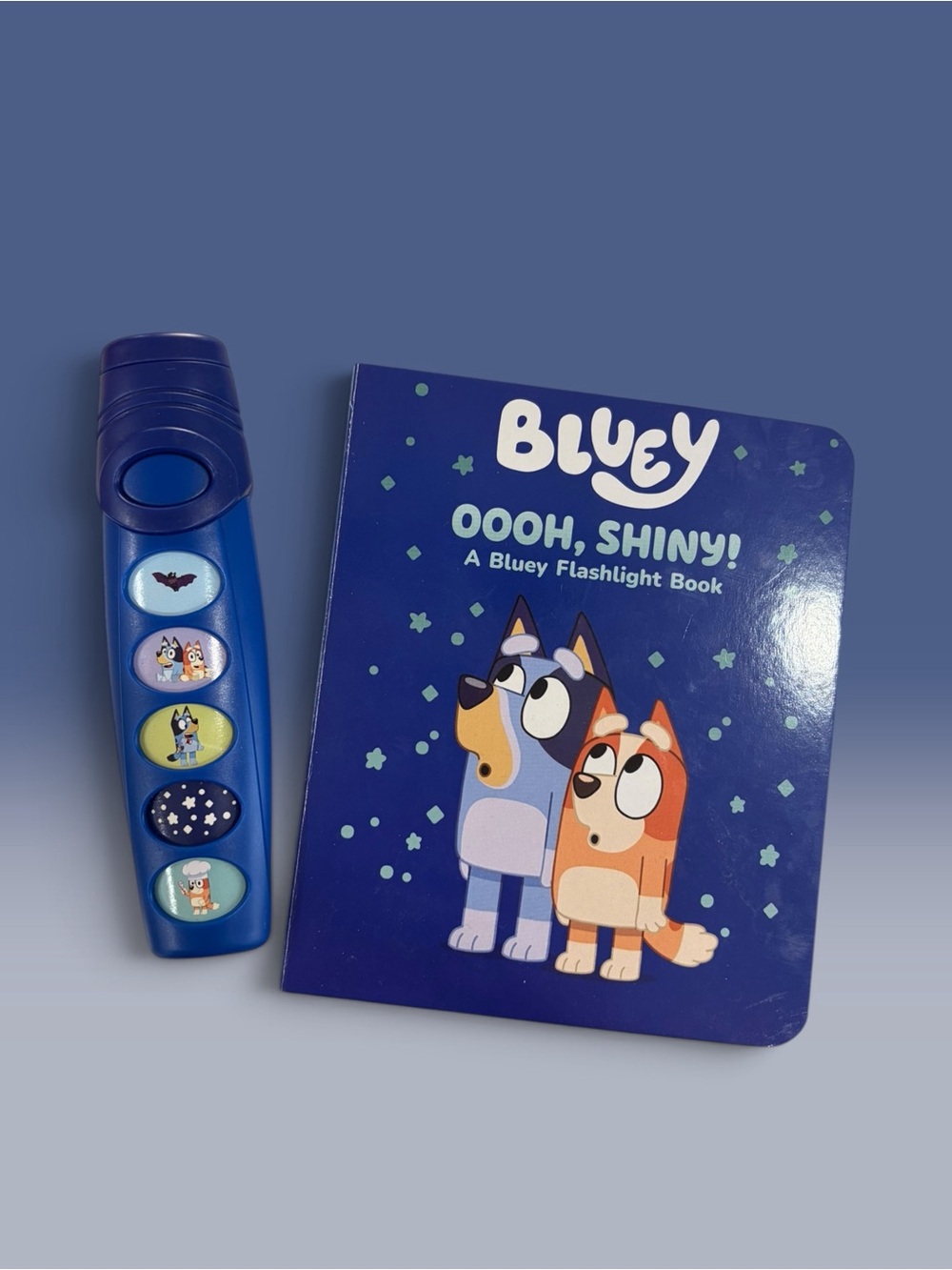 Bluey Oooh, Shiny! Flashlight Book